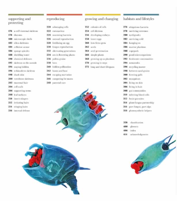 Dk探索微观世界的科普巨作 Dk Micro Life：miracles Of The Miniature World Pdf下载